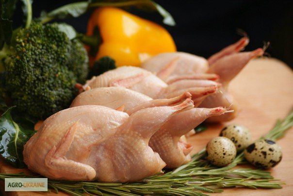 Мясо перепела BIO, фазана и курицы свежее