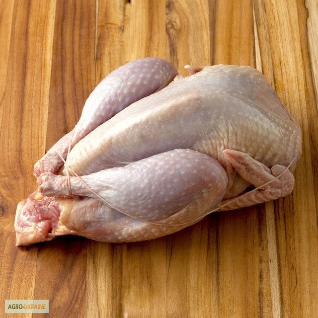 Фото 2. Мясо перепела BIO, фазана и курицы свежее