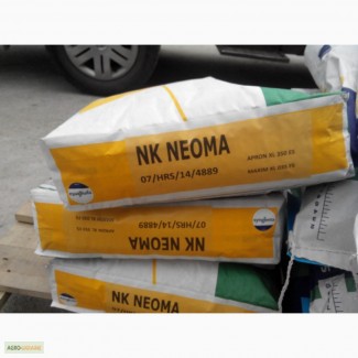 Среднеспелый простой гибрид НК Неома от бренда Syngenta