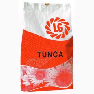 Продам семена подсолнечника Тунка