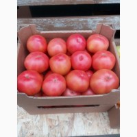 Продаём помидор различных сортов