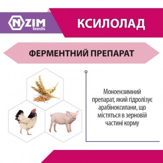 Ксилолад ENZIM Feeds - Ферментний препарат ЕНЗИМ (Україна)