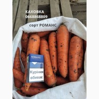 Морковь РОМАНС
