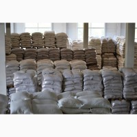 Куплю сахар любого качества на экспорт ежемесячно от 50 тонн и более