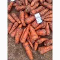 Продам капусту моркву буряк морква буряк морква пікінскую капусту