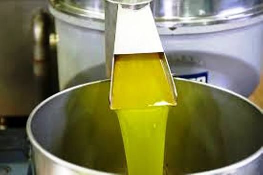 Фото 4. Продам масло оливковое 100%