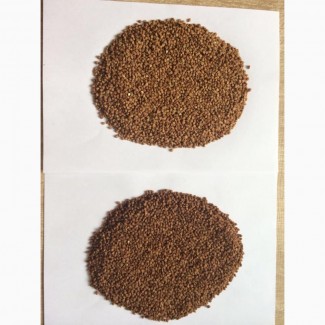Quality Raw and Roasted Hulled Buckwheat