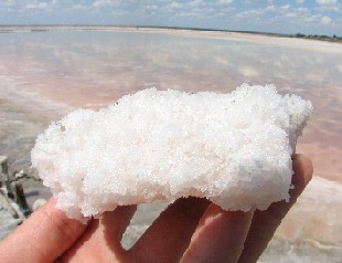 Соль озера Сиваш оптом
