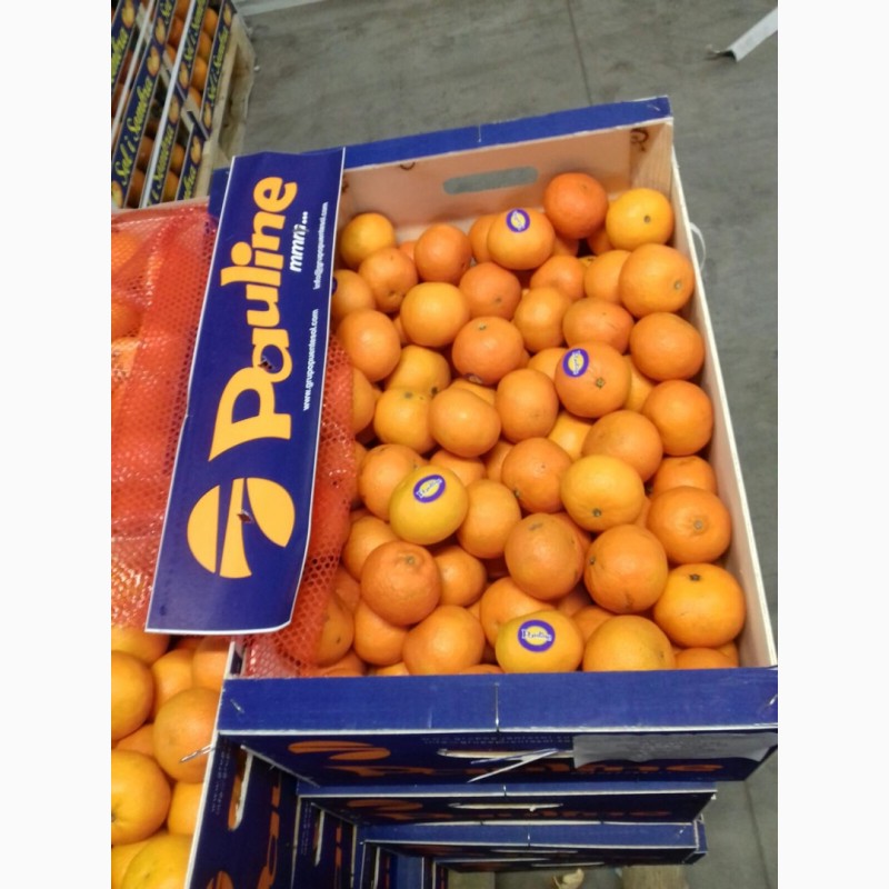 Фото 3. Продам мандарини та фрукти