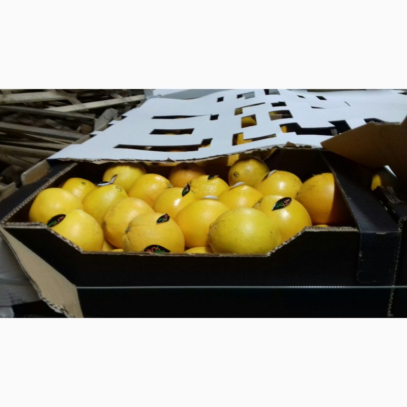Фото 7. Продам мандарини та фрукти