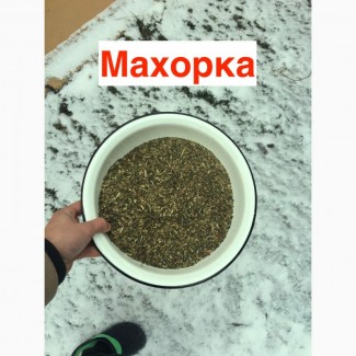 Махорка, вирощена з любов#039;ю