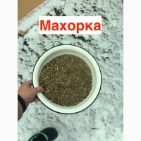 Махорка, вирощена з любов#039;ю