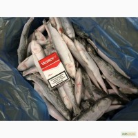 Продаю балтийскую и азовскую рыбу оптом и в розницу