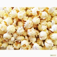 Продам зерно кукурузы попкорн mushroom (зерно для попкорна), popcorn Lucky (мешки 25 кг)