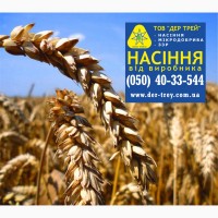 Семена озимой пшеницы Колониа, урожай 2017 года от компании Дер Трей
