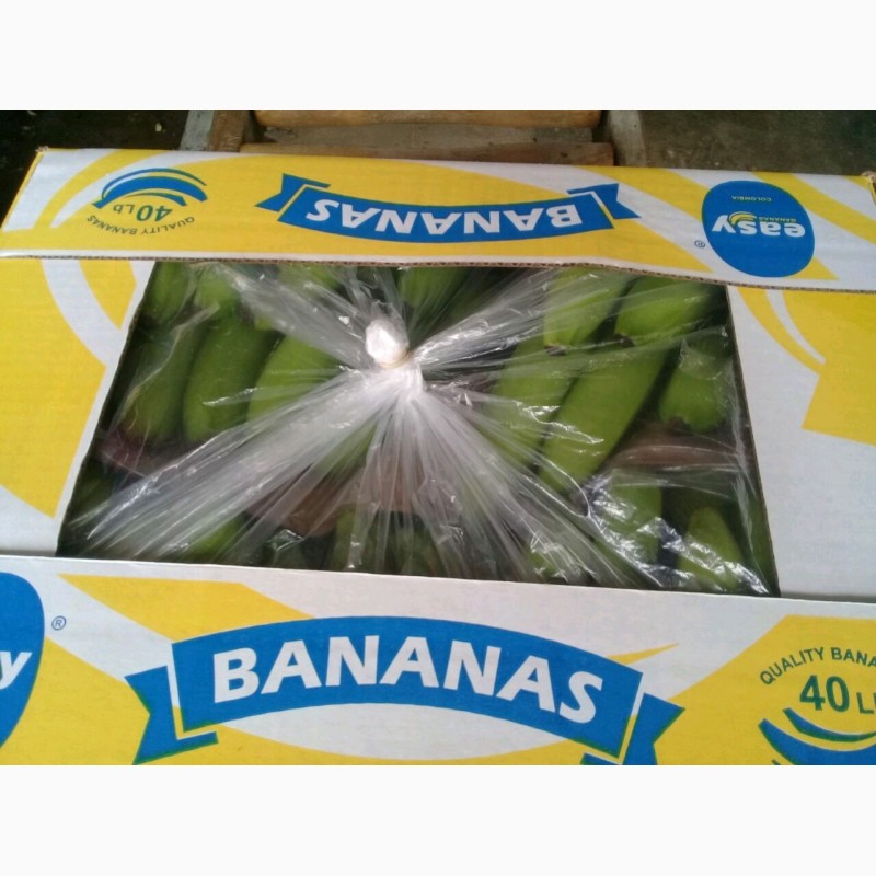 Фото 3. Банан каверны премиум-класса P21 коробка с 19, 4 кг нетто цена 7, 50 usd FOB Colombia