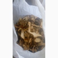 Продам гриби, білі сушені