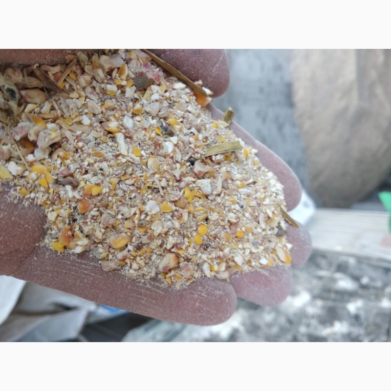 Фото 2. Продам отходы Кукурузы, отсев, фасованный в мешках, 5, 80 за кг