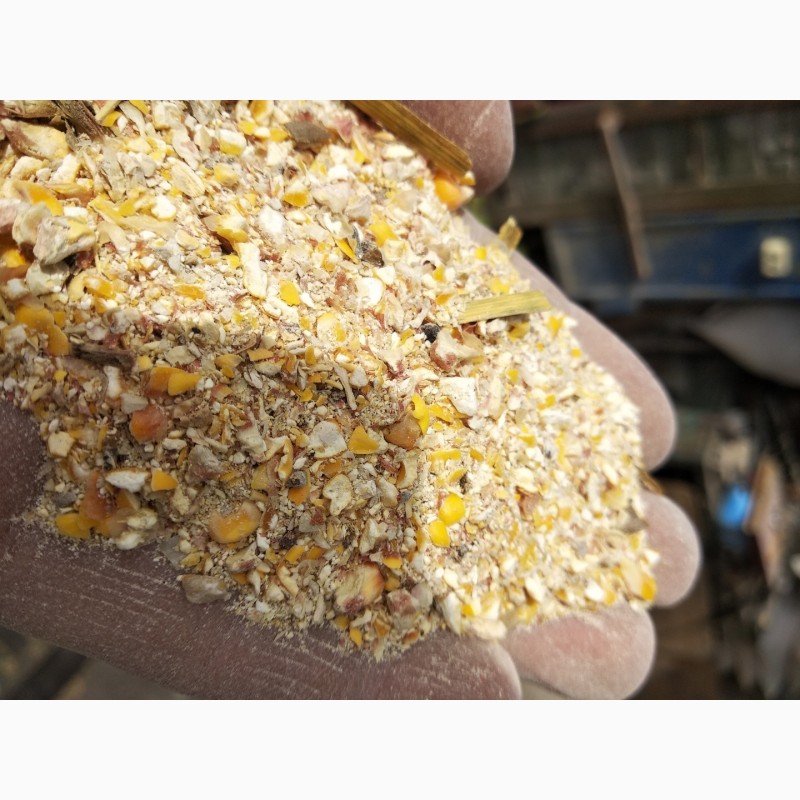 Фото 4. Продам отходы Кукурузы, отсев, фасованный в мешках, 5, 80 за кг