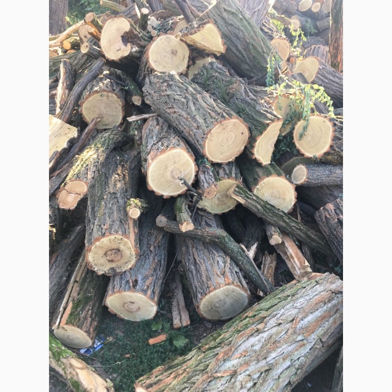 Фото 10. Продам в больших количествах дрова твердых пород и дрова фруктовые