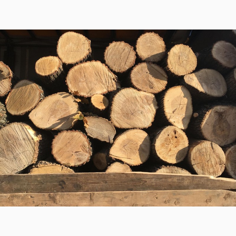 Фото 2. Продам в больших количествах дрова твердых пород и дрова фруктовые
