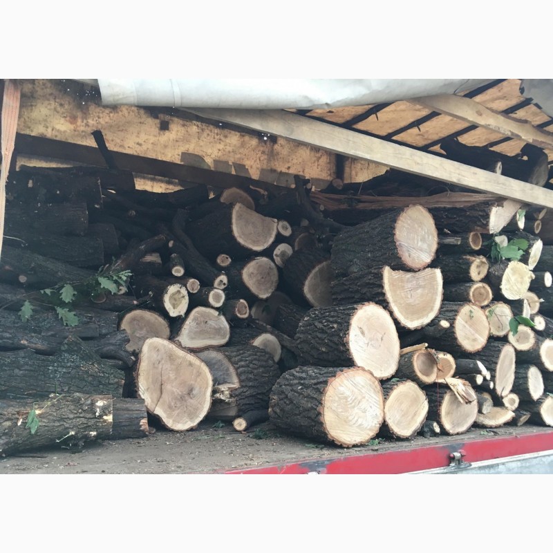 Фото 4. Продам в больших количествах дрова твердых пород и дрова фруктовые