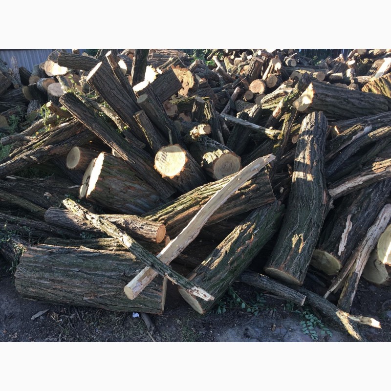 Фото 6. Продам в больших количествах дрова твердых пород и дрова фруктовые