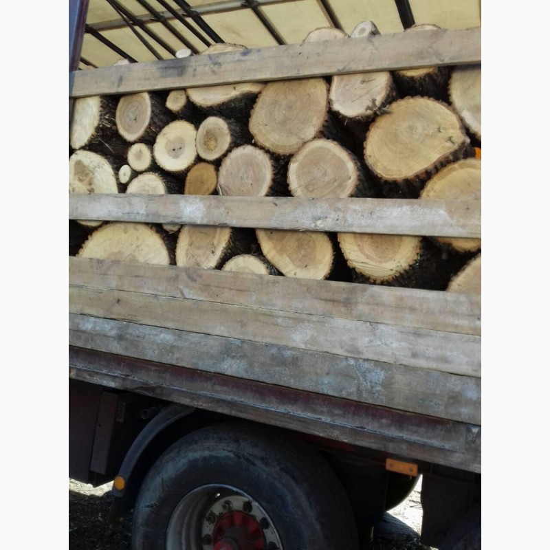 Фото 8. Продам в больших количествах дрова твердых пород и дрова фруктовые