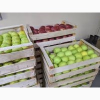 Господарство продає яблука