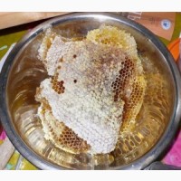 Мед диких бджіл (колодочний, бортьовий)