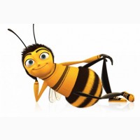 Бджоли, бджолосім#039;ї, бджолопакети