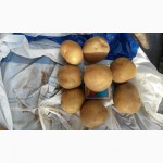 Продам картофель семенной ультраранний Ривьера фракция 3-4, и 4--5 см/ 2-я репродукция