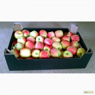 Ящик картонный для яблок