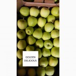 Продам яблука оптом з РГС. Великий вибір сортів, калібрів, пакування. Від 20 тон