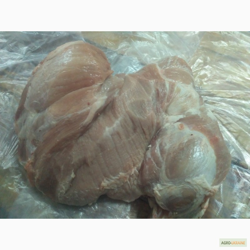 Фото 10. Свиняче мясо, свинні туші м#039;ясної(беконної) породи