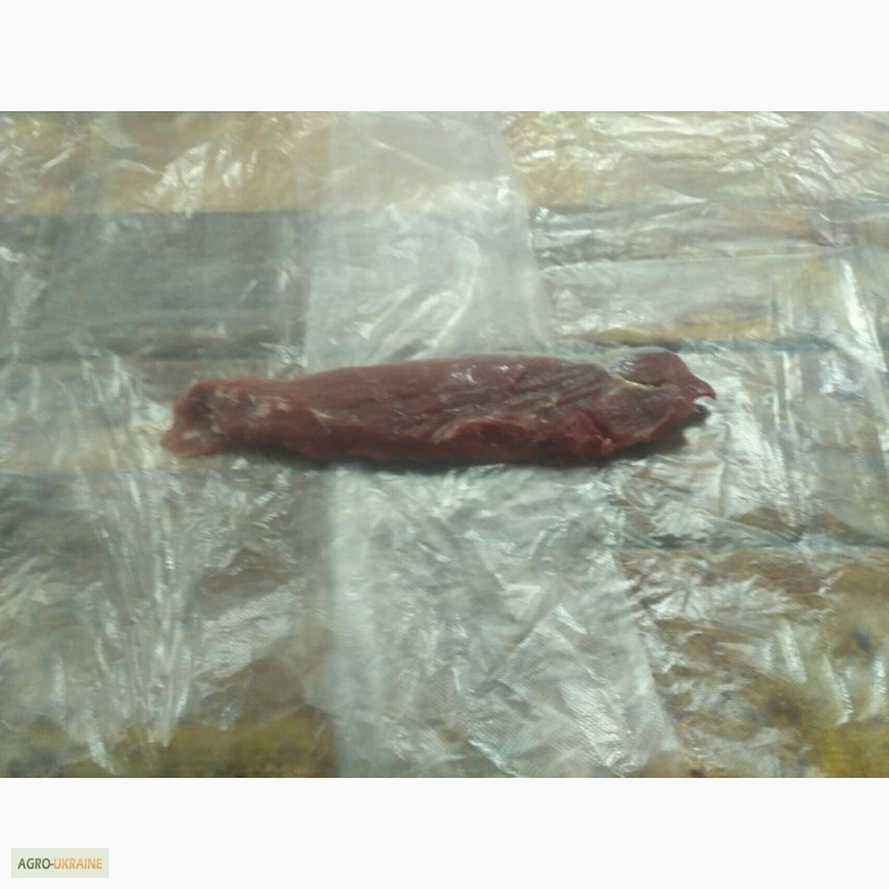 Фото 4. Свиняче мясо, свинні туші м#039;ясної(беконної) породи
