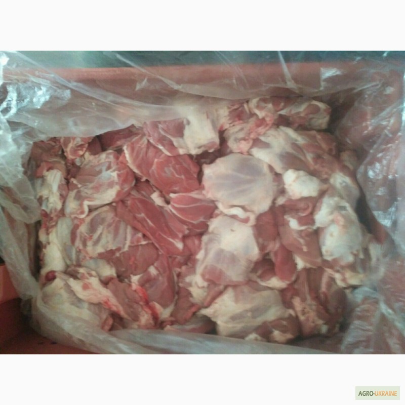 Фото 8. Свиняче мясо, свинні туші м#039;ясної(беконної) породи