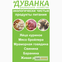 Продам мясо бройлера, баранину, свинину, мраморную говядину