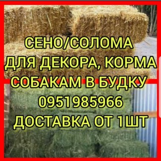 Хозяйство предлагает сено луговое, солому, люцерну, солому с доставкой по Украине