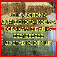 Хозяйство предлагает сено луговое, солому, люцерну, солому с доставкой по Украине