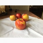 Яблоки Джонаголд оптом недорого диаметр 8