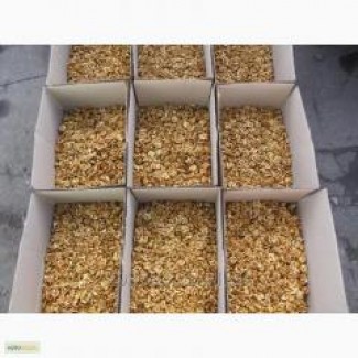 Оптовые поставки ядра грецкого ореха под заказ, на экспорт