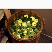Засолка 2018 (огурец, помидор, капуста квашеная, арбуз соленый яблоко моченные)