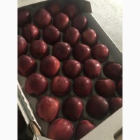Продам яблуко 4 сортів: Голден, Ред Чіф, Фуджі, Грені Сміт