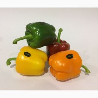 Перец Сладкий красный, желтый, зеленый, оранжевый, сорт КАЛИФОРНИЯ. Производитель Испания