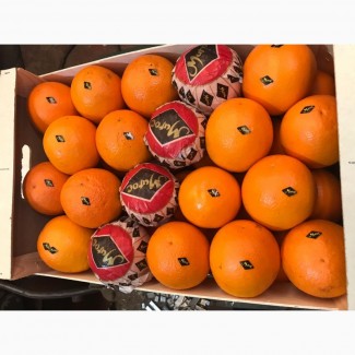 Апельсины сорта Вашингтон Навел