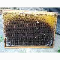 Продам сушь для пчел 300 рамка