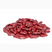Light Sparkled Kidney beans