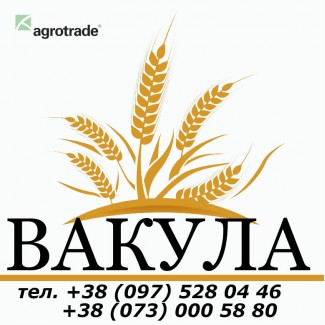 Ячмень яровой Вакула 1 репродукция с документами от производителя