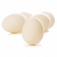 Продажа куриных яиц (С1, С0)